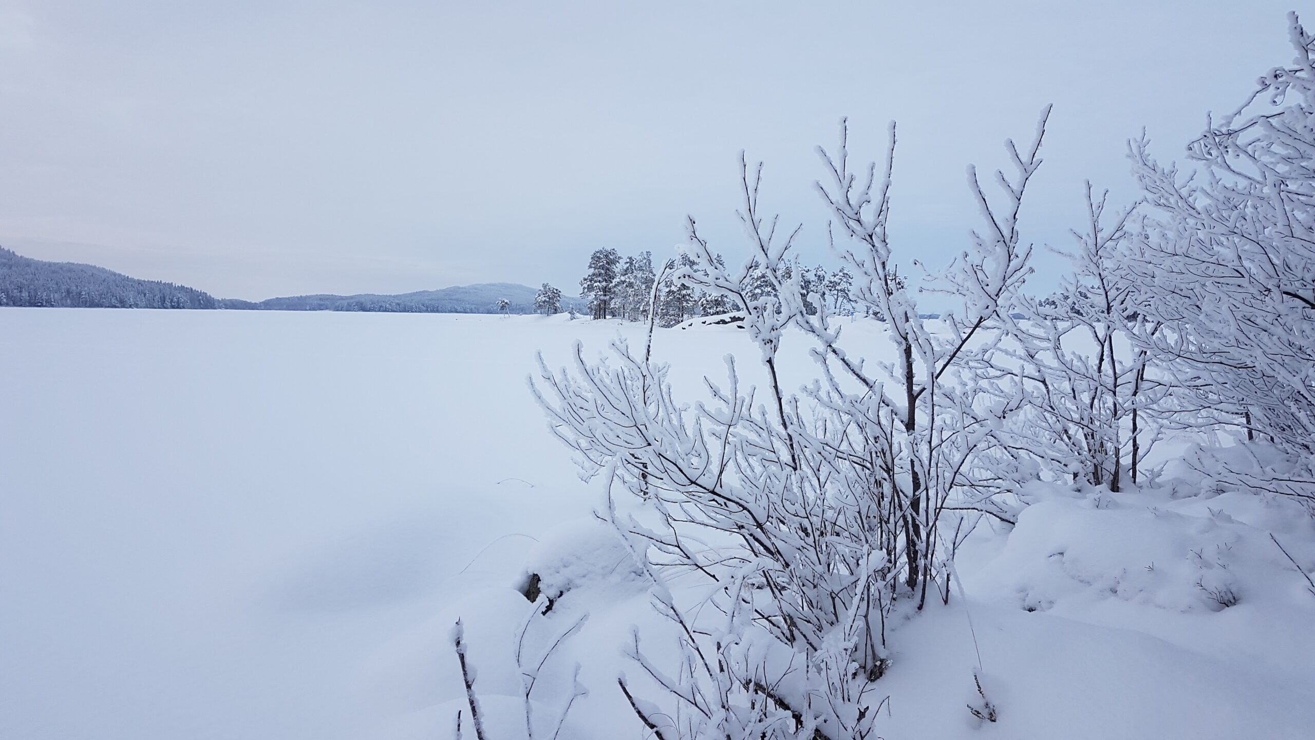 Luminen järvimaisema
